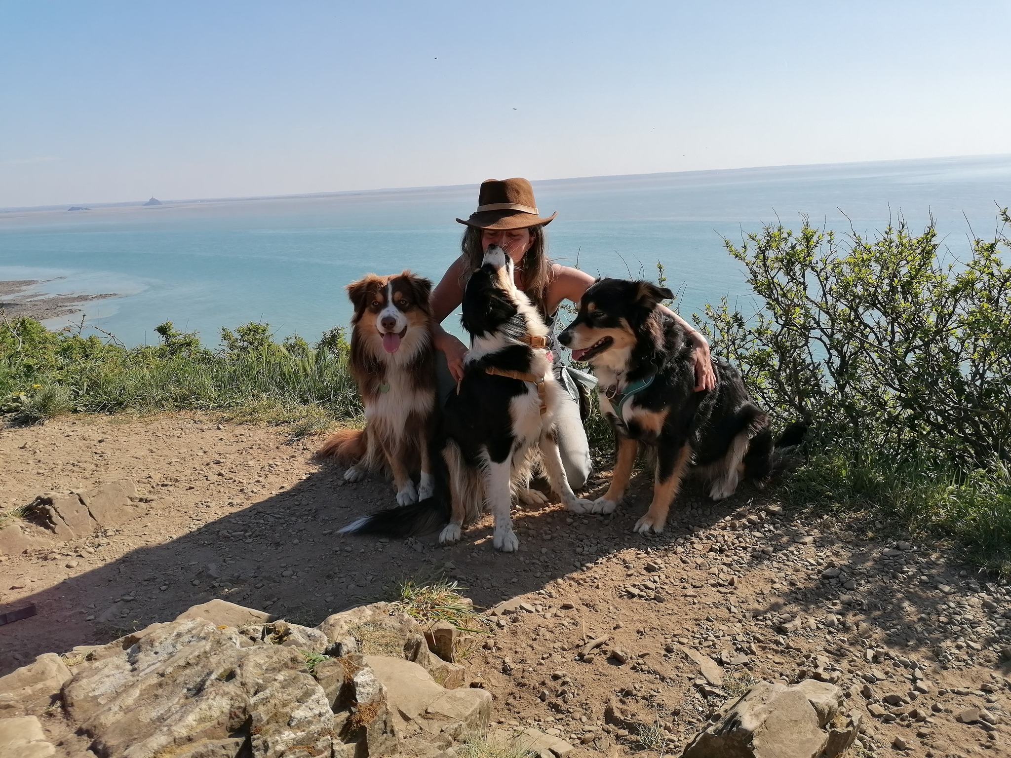 Podcast Mes Pépites Canines
