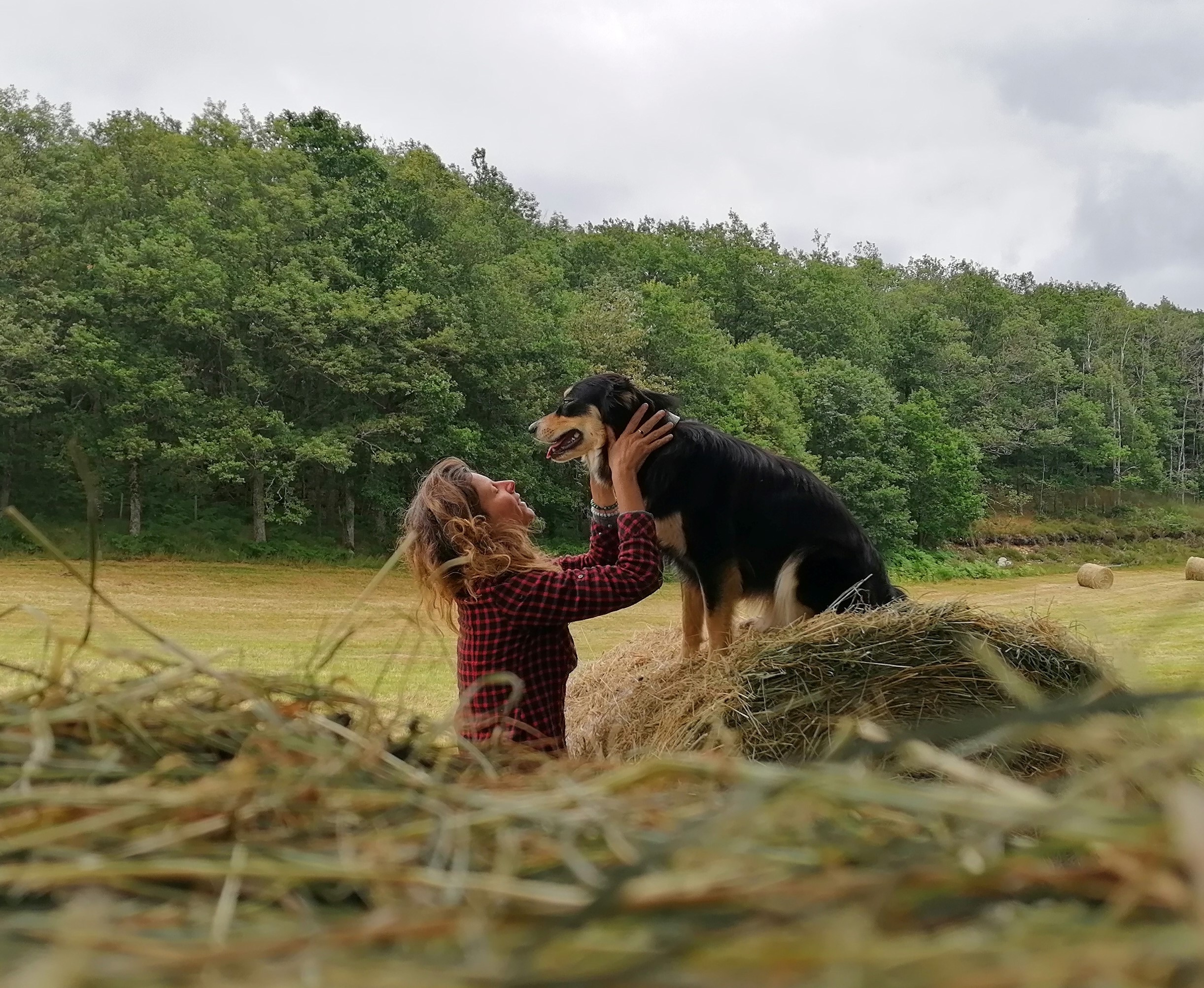Communication Animale